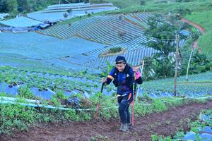 BIB: 
                            <button type="button" onclick="openModal(13384754)" class="btn btn-primary btn-sm float-right btn-popup" data-toggle="modal" data-target=".modal-high-quality">
                        <i class="fas fa-shopping-cart"></i> Add to Cart
                    </button>
                                            <button type="button" onclick="isThisMe(13384754, true)" class="btn btn-success btn-sm float-right btn-popup btn-isme hidden" data-toggle="tooltip" data-placement="bottom" title="นี่คือรูปของคุณใช่ไหม คลิกที่นี่เพื่อเอาเข้าอัลบั้ม">
                        <i class="fas fa-plus"></i> Add to album
                    </button>
                    <button type="button" onclick="isThisMe(13384754, false)" class="btn btn-warning btn-sm float-right btn-popup btn-isnotme hidden">
                        <i class="fas fa-ban"></i> Remove from album
                    </button>